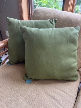 Target Home Outdoor Accent Pillows 2 Olive Green